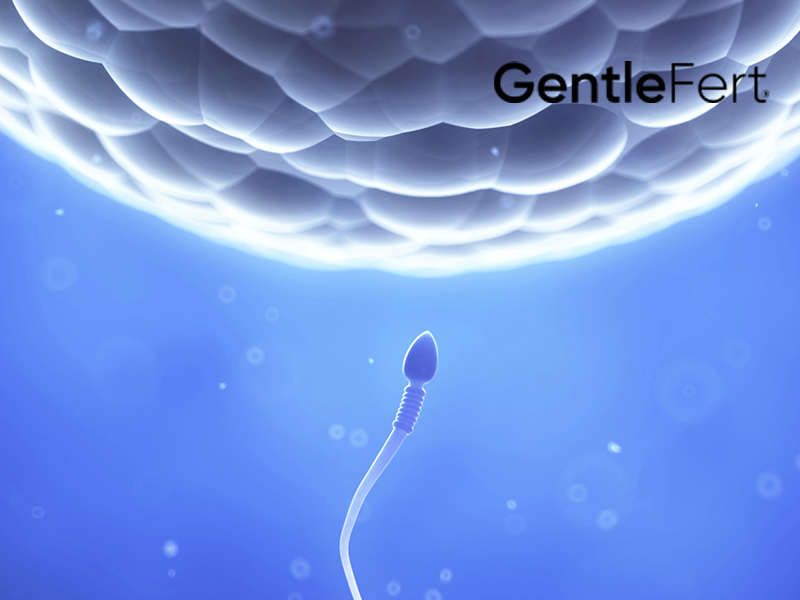 Erkek İnfertilite Yönetiminde Gıda Takviyelerinin Önemi